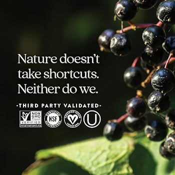 Amazon.com: New Chapter Vegan Elderberry Capsules with 64x